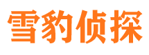 玛纳斯寻人公司